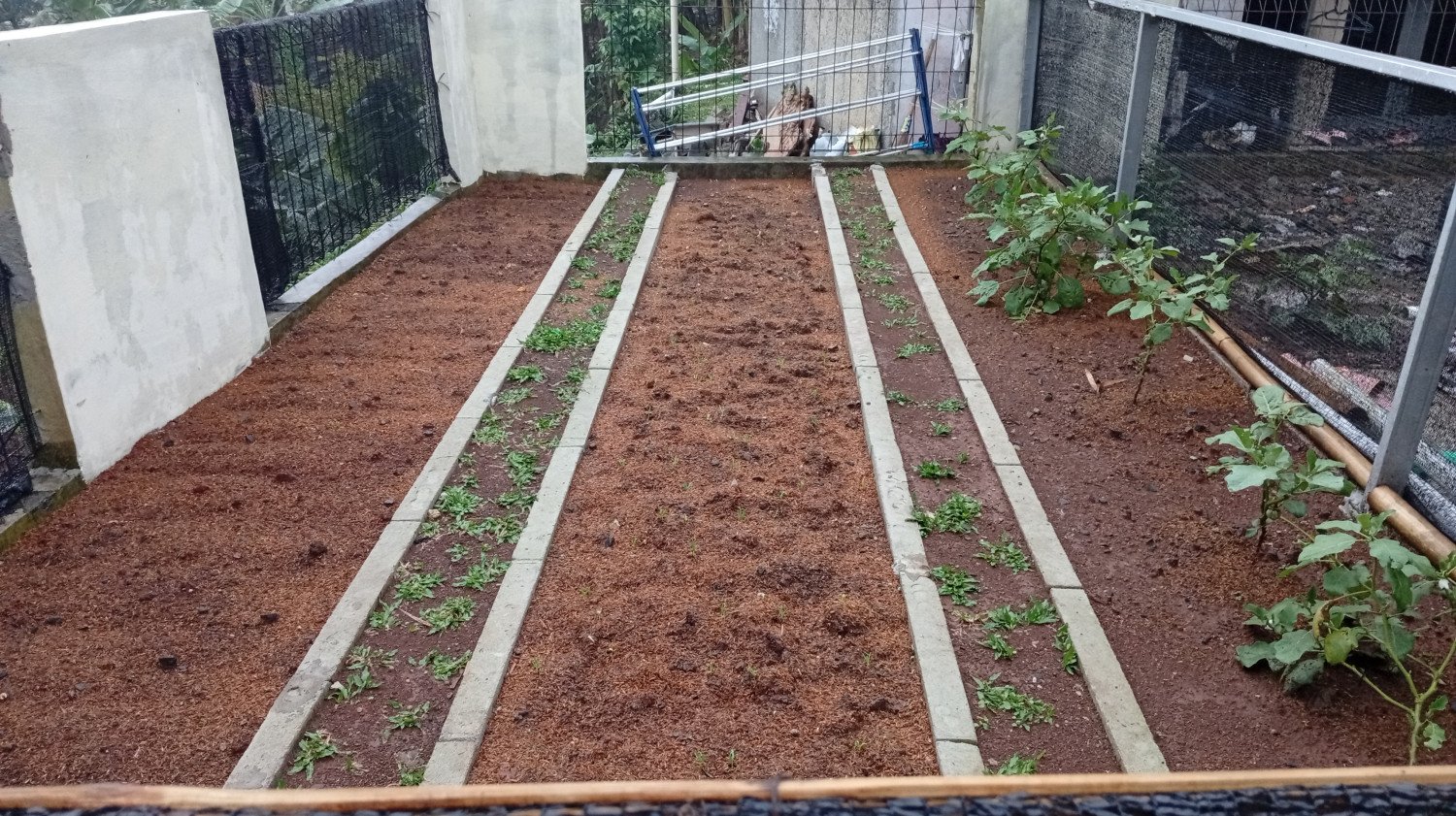 Persiapan Ramadhan: Menyambut Bulan Penuh Keberkahan dengan Kesadaran dan Kepedulian