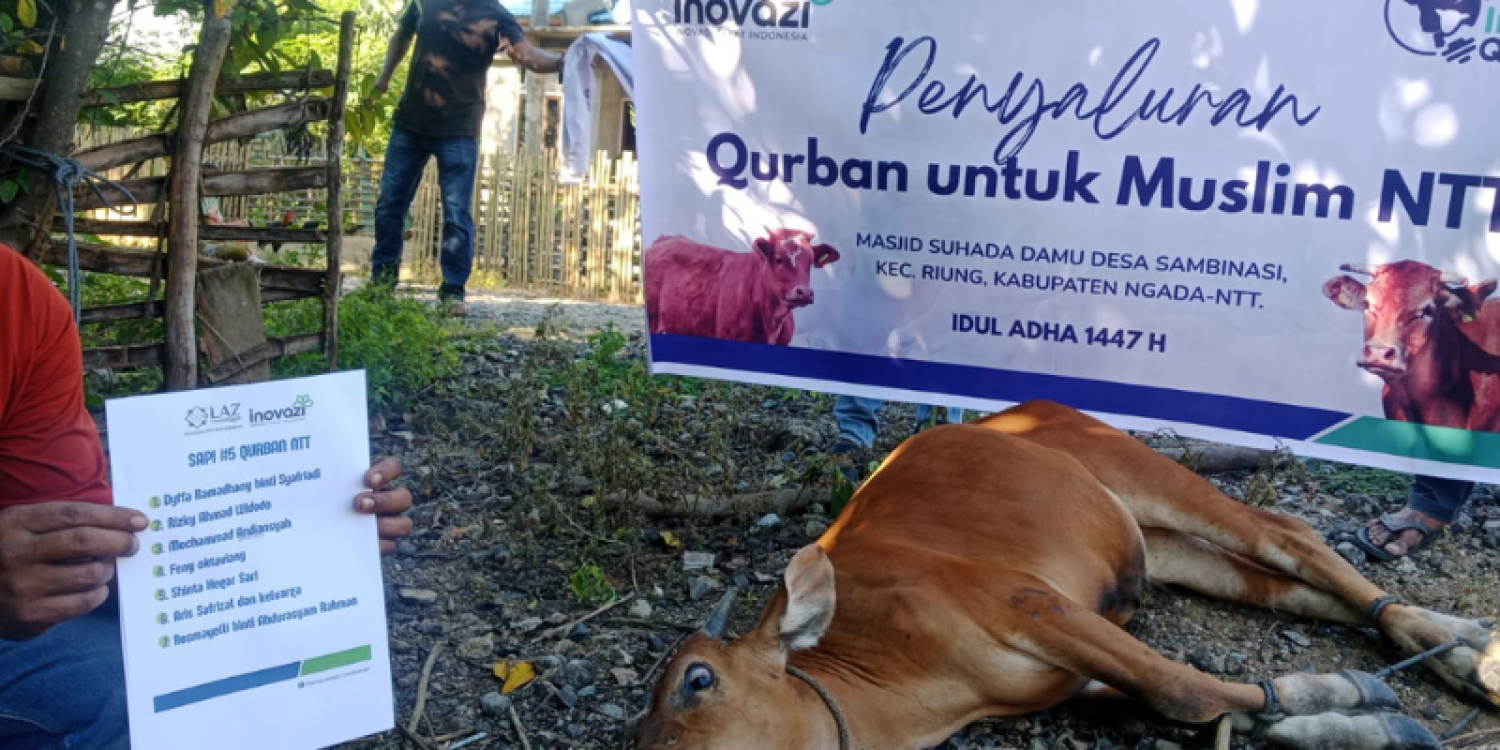 Distribusi Qurban LAZ Ummul Quro Bogor di NTT