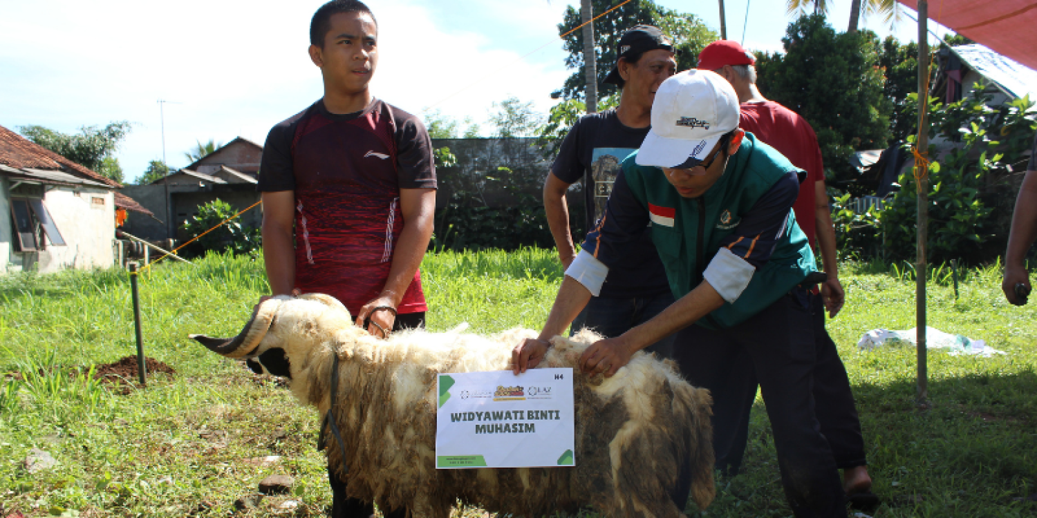 Qurban Fest, LAZ Ummul Quro Bogor Distribusikan Hewan Qurban ke Masyarakat